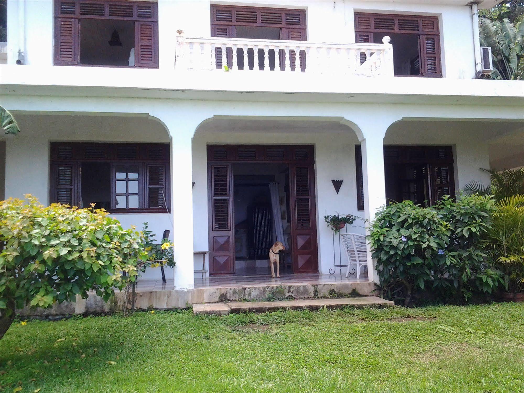 Villa Galerie Les Anses-d'Arlets Luaran gambar
