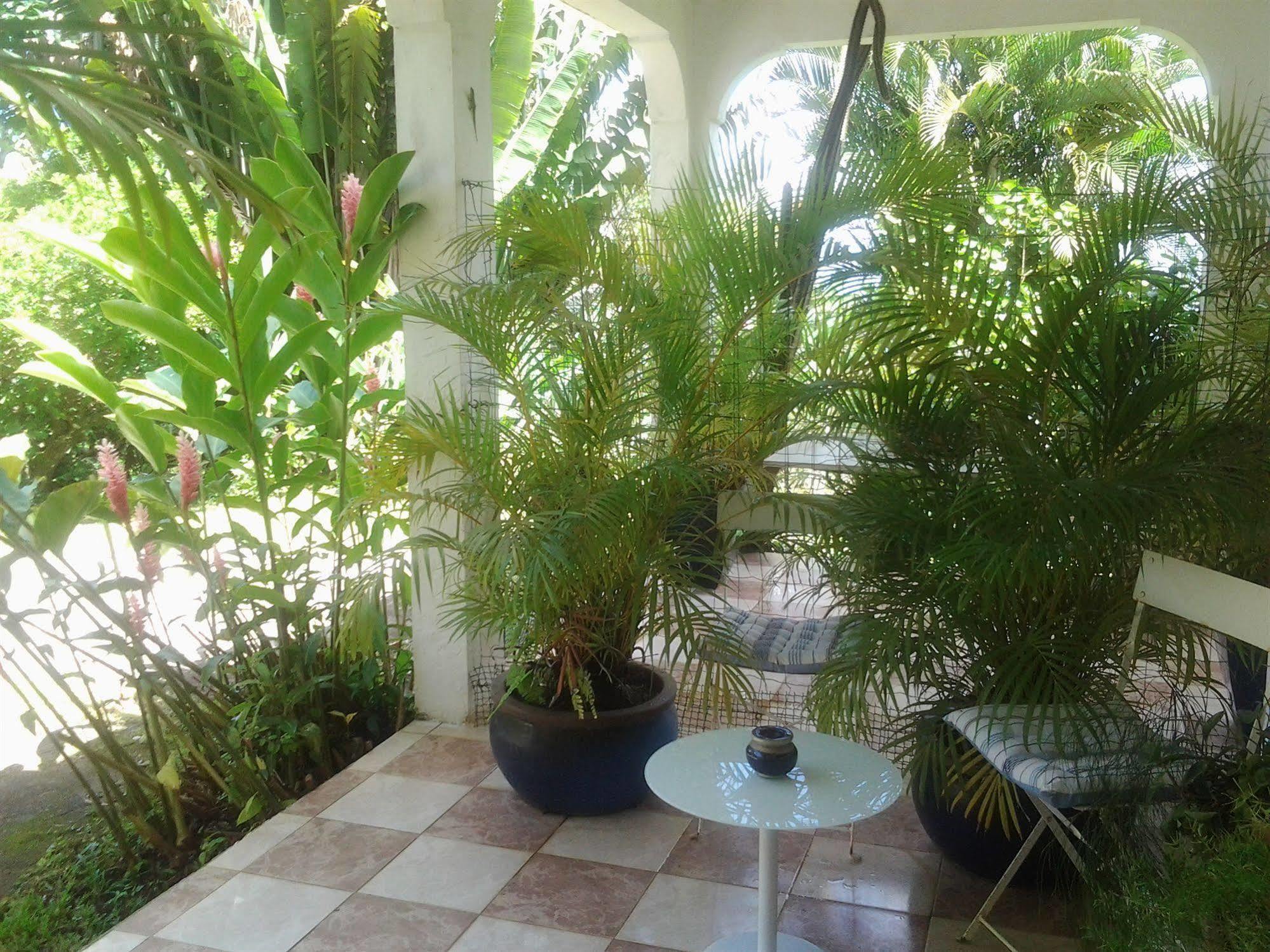 Villa Galerie Les Anses-d'Arlets Luaran gambar